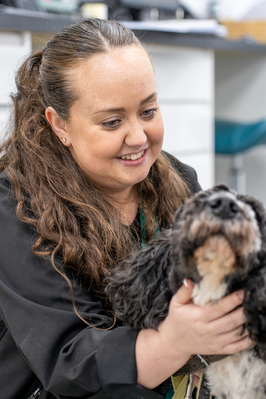 The Willows Veterinary Group - Beech House (Web) 012